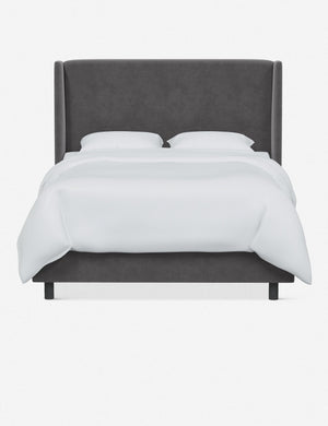 Adara gray velvet upholstered bed.