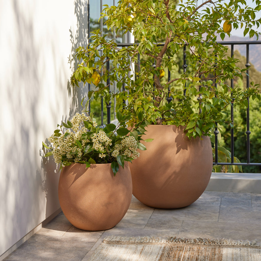 A TOUCH OF GREEN | SHOP OUTDOOR GARDEN