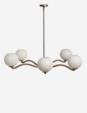 Nara fluted glass 5-globe chandelier by Aimee Song