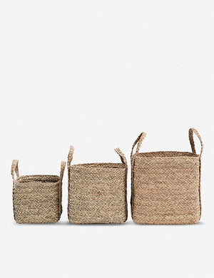 Palm Springs Baskets (Set of 3)
