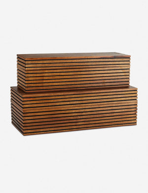 Trinity Boxes (Set of 2) by Arteriors