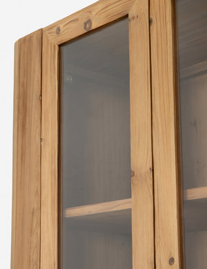 Andrade Curio Cabinet