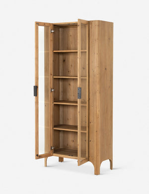 Andrade Curio Cabinet