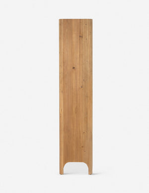 Andrade Curio Cabinet