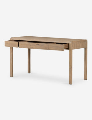 Analisa Desk