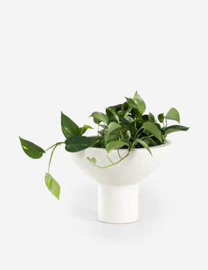 Elysia Indoor / Outdoor Planter (Set of 2)