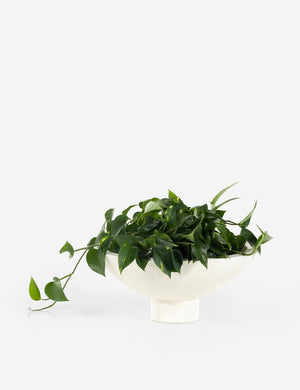 Elysia Indoor / Outdoor Planter (Set of 2)