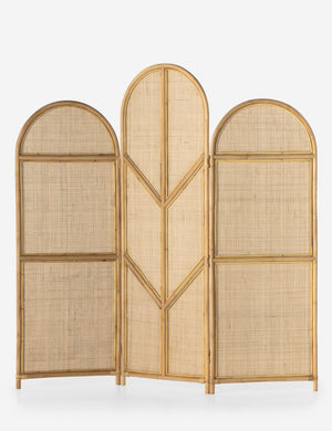 Tapia Screen