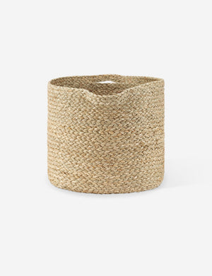 Seagrass Bin by NEAT Method