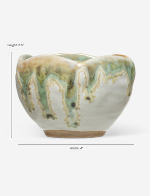 Tinashe Bowl