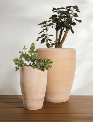 Abrielle Planter (Set of 2) by Campania International