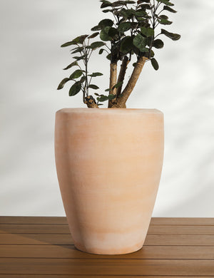 Abrielle Planter (Set of 2) by Campania International