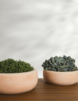 Annalise Planter (Set of 2) by Campania International