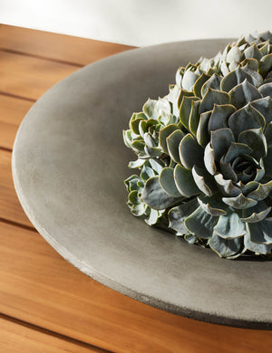 Lital Indoor / Outdoor Bowl