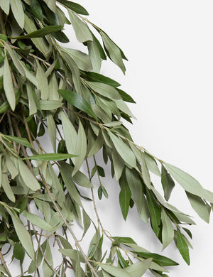 Fresh Handmade Olive Branch Bunch