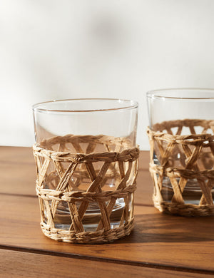 Shelly Tumblers (Set of 4)