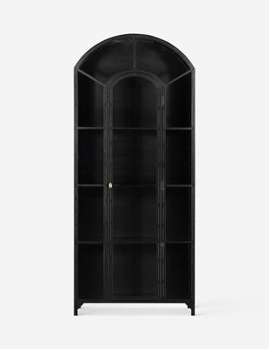 Cressida matte black iron curio cabinet with glass paneled doors and brass hardware