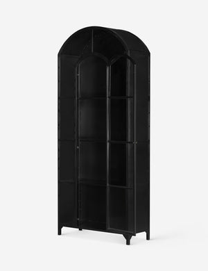 Angled view with opened door on the Cressida matte black iron curio cabinet with glass paneled doors and brass hardware