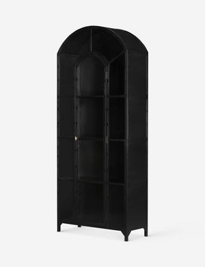 Angled right view of Cressida matte black iron curio cabinet with glass paneled doors and brass hardware