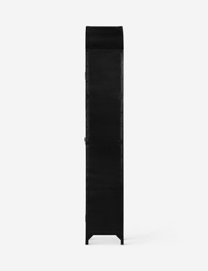 Side view of the Cressida matte black iron curio cabinet with glass paneled doors and brass hardware