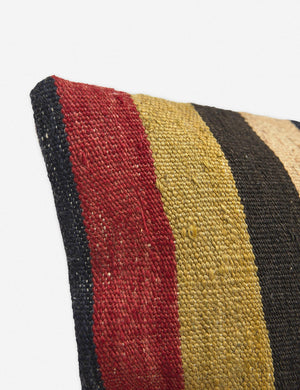 Neesa One-Of-A-Kind Lumbar Pillow