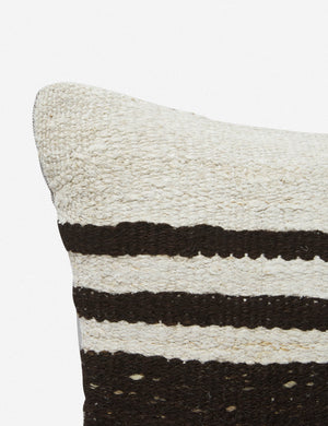 Arizona Vintage Pillow