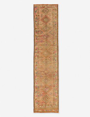 Aliye Vintage Runner Rug, 2'9