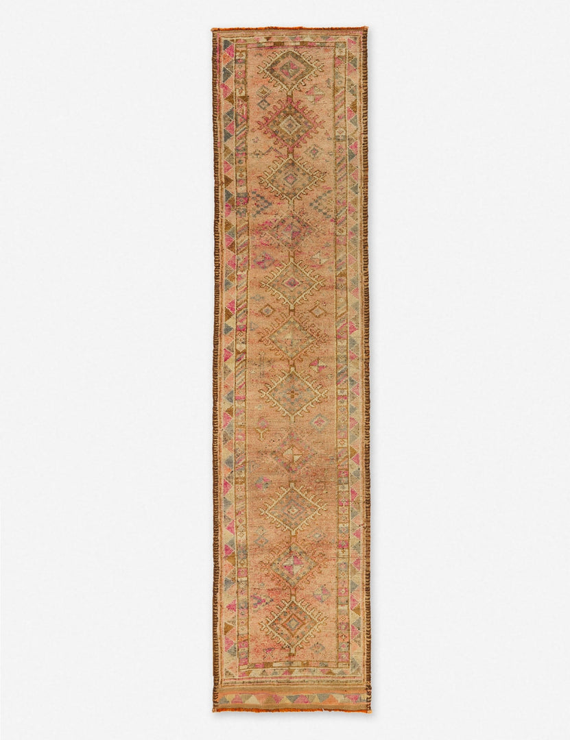 Aliye Vintage Runner Rug, 2'9" x 12'2"