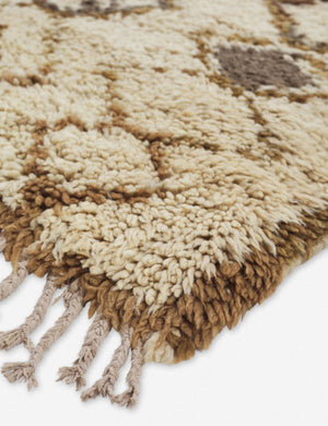 Aparri Vintage Rug, 3' x 5'4