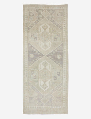 Aleza Vintage Runner Rug, 4'11