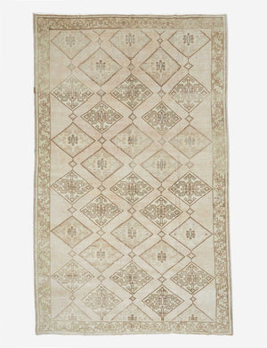 Aneesa Vintage Rug, 6'4