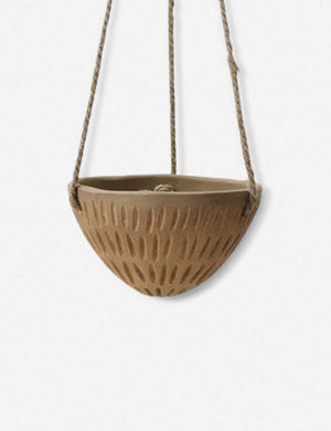 Blaza Hanging Planter