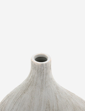 Jia Vase