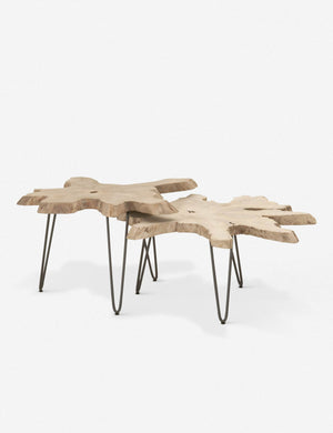 Arleta Indoor / Outdoor Nesting Tables