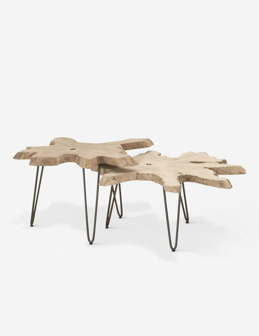 Arleta Indoor / Outdoor Nesting Tables