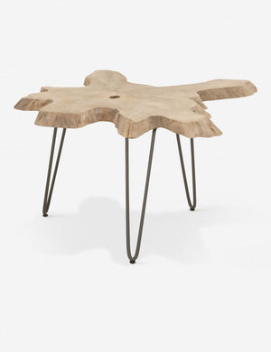 Arleta Indoor / Outdoor Nesting Tables
