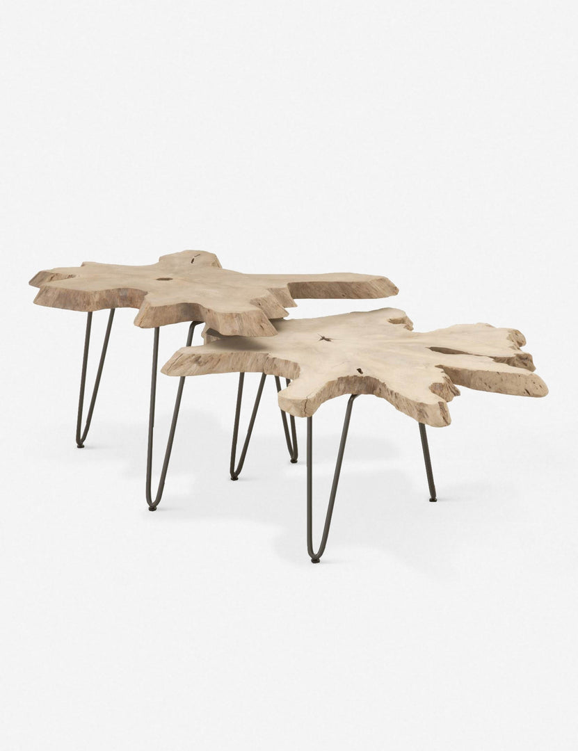 Arleta Indoor / Outdoor Nesting Tables