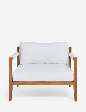 Cadenza Indoor / Outdoor Accent Chair_old