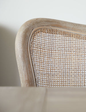 Aniston Dining Chair (Set of 2)