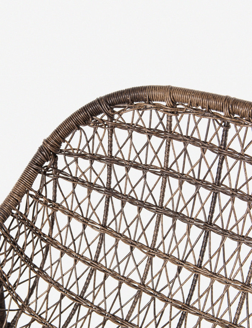 Eliza Indoor / Outdoor Accent Chair