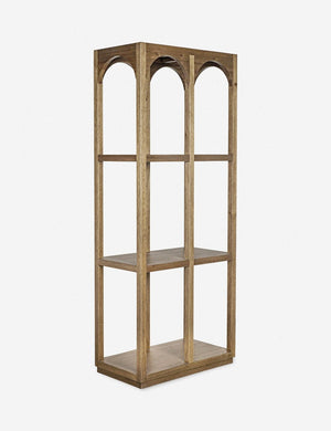Reyn Bookcase