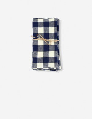 Indigo Napkins (Set of 4) by Heather Taylor Home