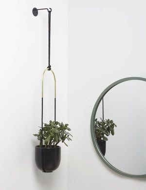 Juno Hanging Planter