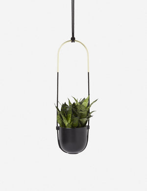 Juno Hanging Planter