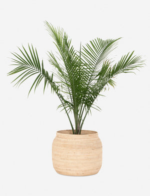 Deya Basket, Natural