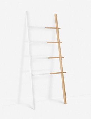 Trenton Expandable Ladder