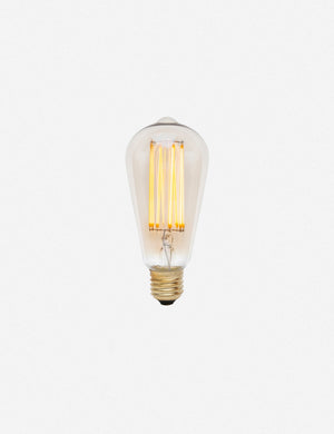 Squirrel Cage 3W LED Bulb (Set of 2) by Tala